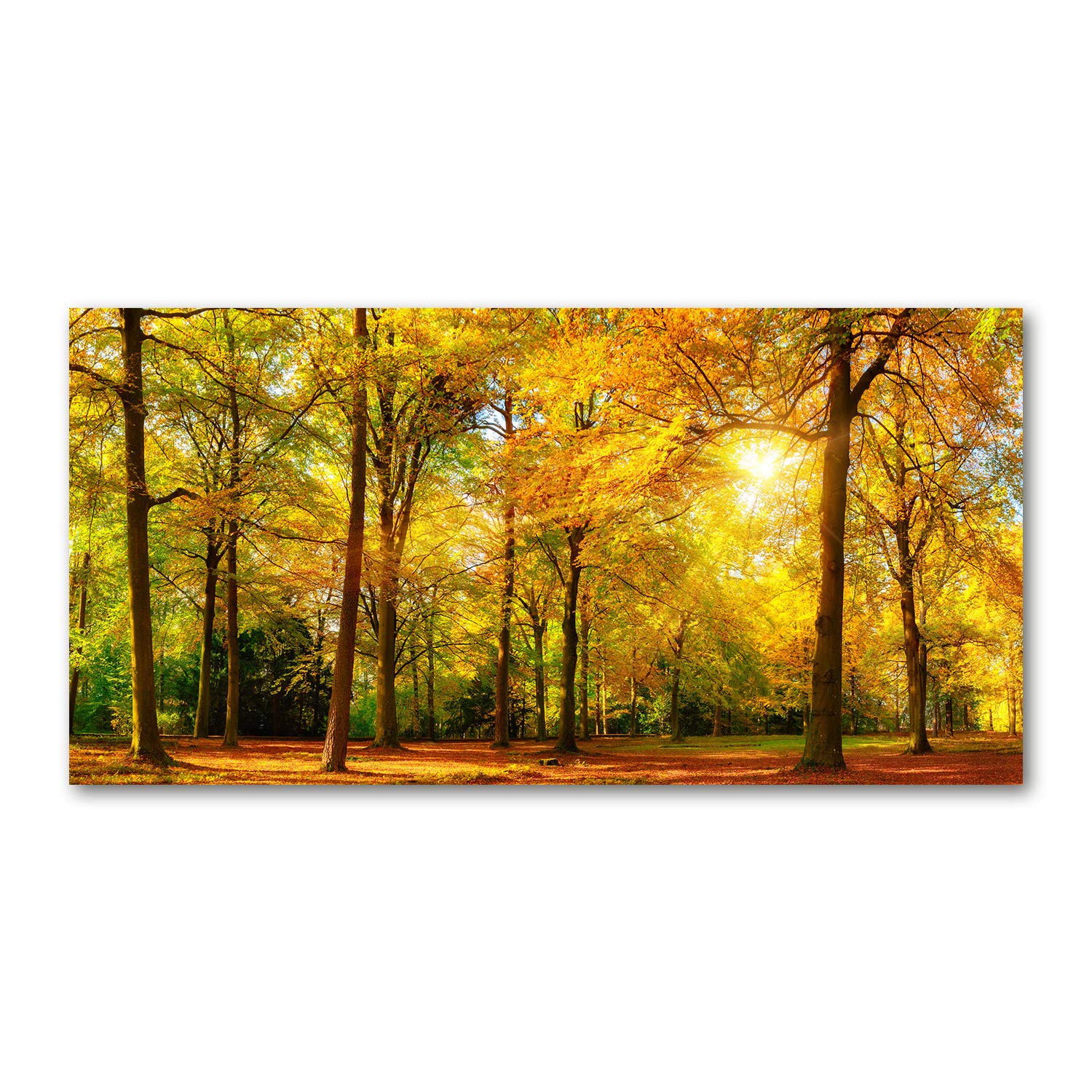 Tulup Yellow Glass Picture Wall Art - 100X50cm - Tempered Glass Decoration - Print For Living Room Bedroom - Toughened Glass Image - Glass Picture Wall Art - Autumn Forest