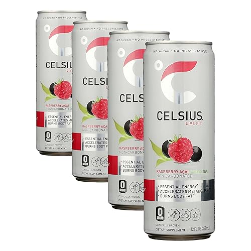 RTD Green Tea Raspberry, 12 Ounce (Pack of 4)