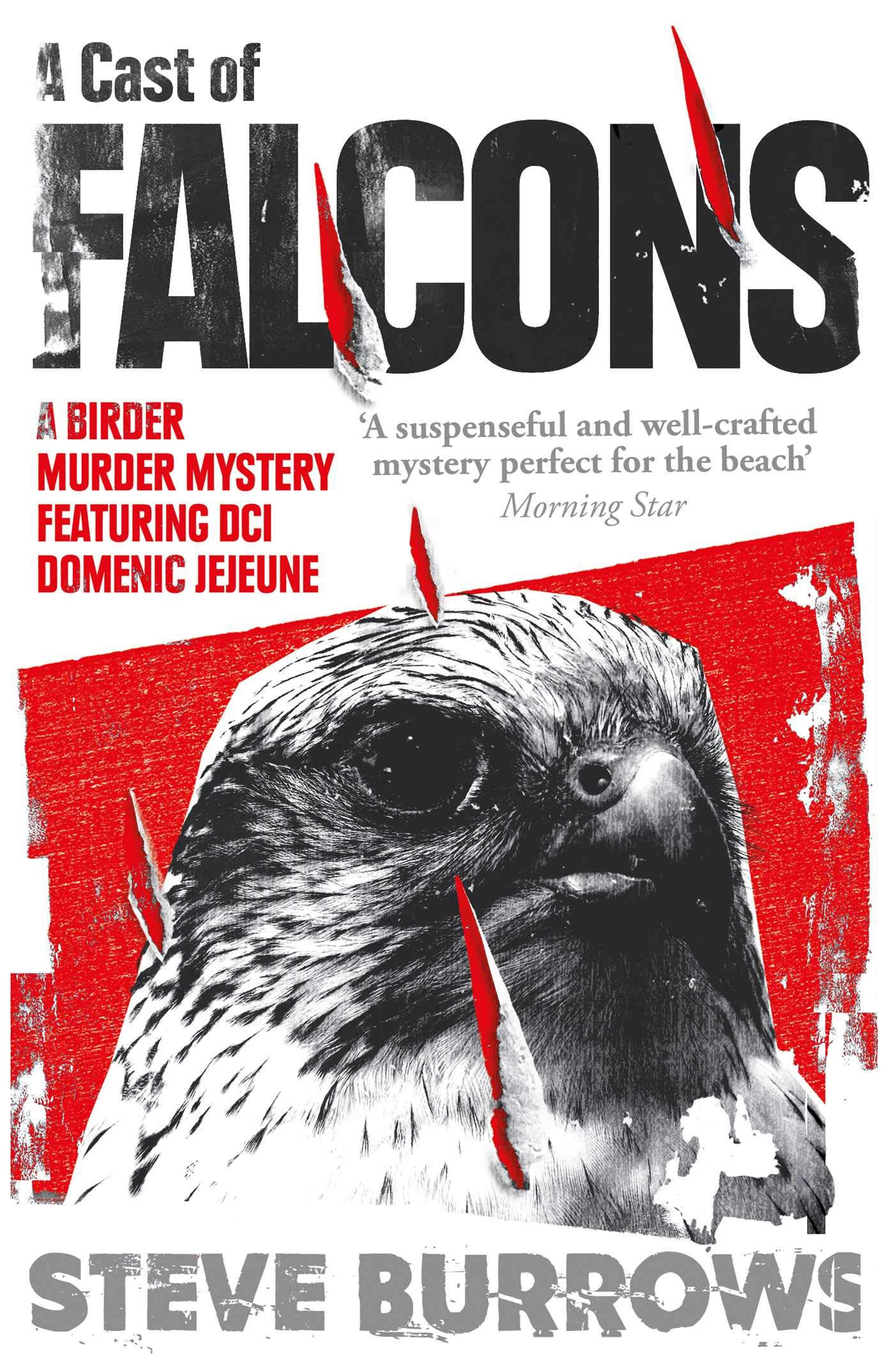 A Cast of Falcons: A Birder Murder Mystery: 3