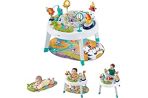 Fisher-Price 2-in-1 Baby Activity Center