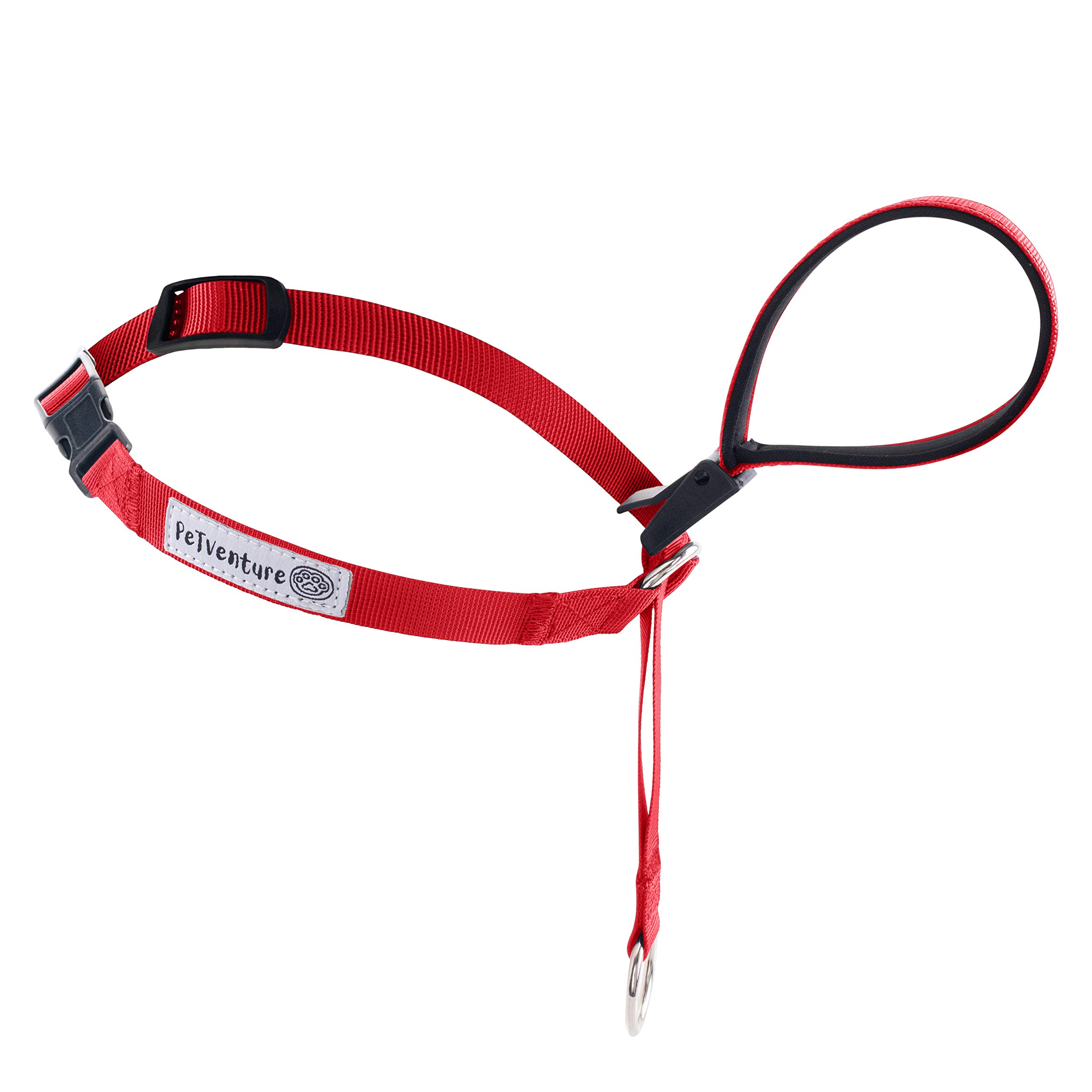 What Type Of Collar Is Best For A Dog That Pulls