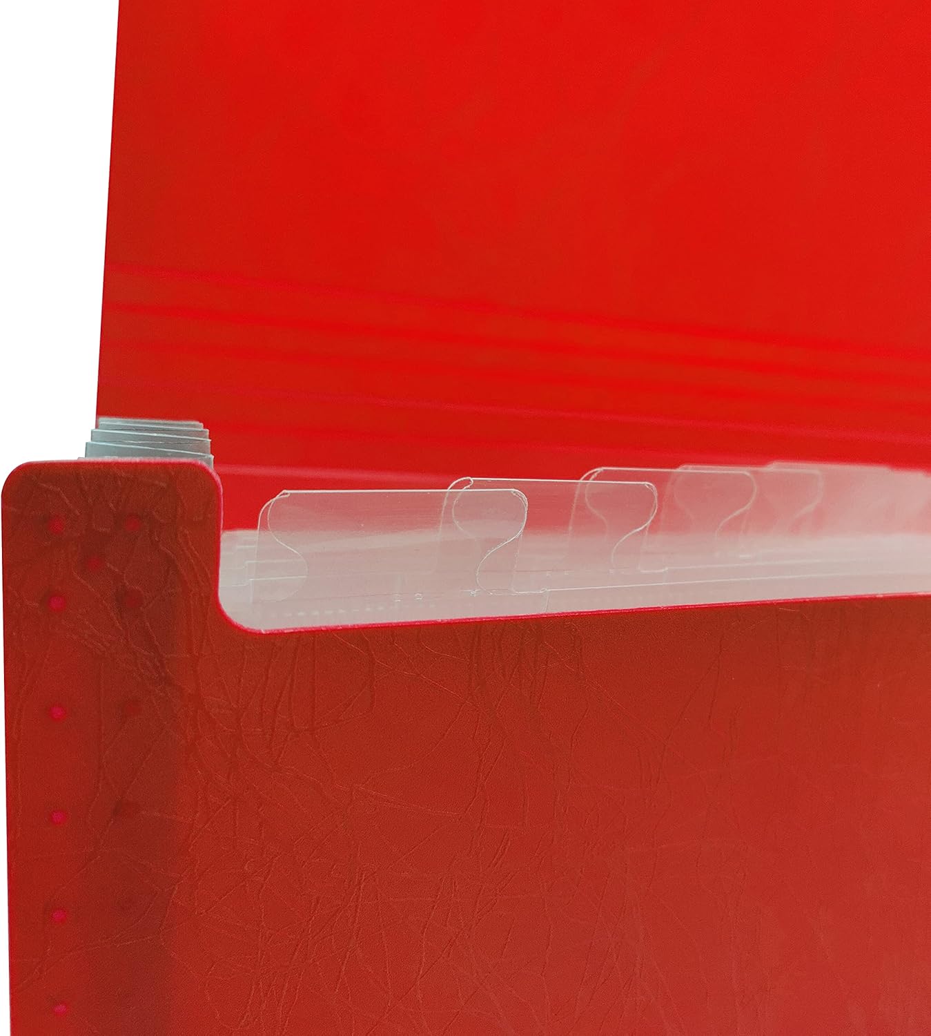 Raylu Paper® - Accordion Document Folder with 12 Compartments, Opaque Plastic File Cabinet with Dividers for Office (Red)