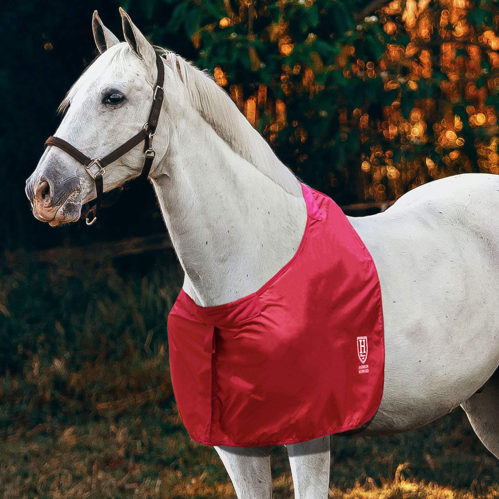 Harrison Howard - Protector de hombro para caballo, protector de pecho, color rojo escarlata
