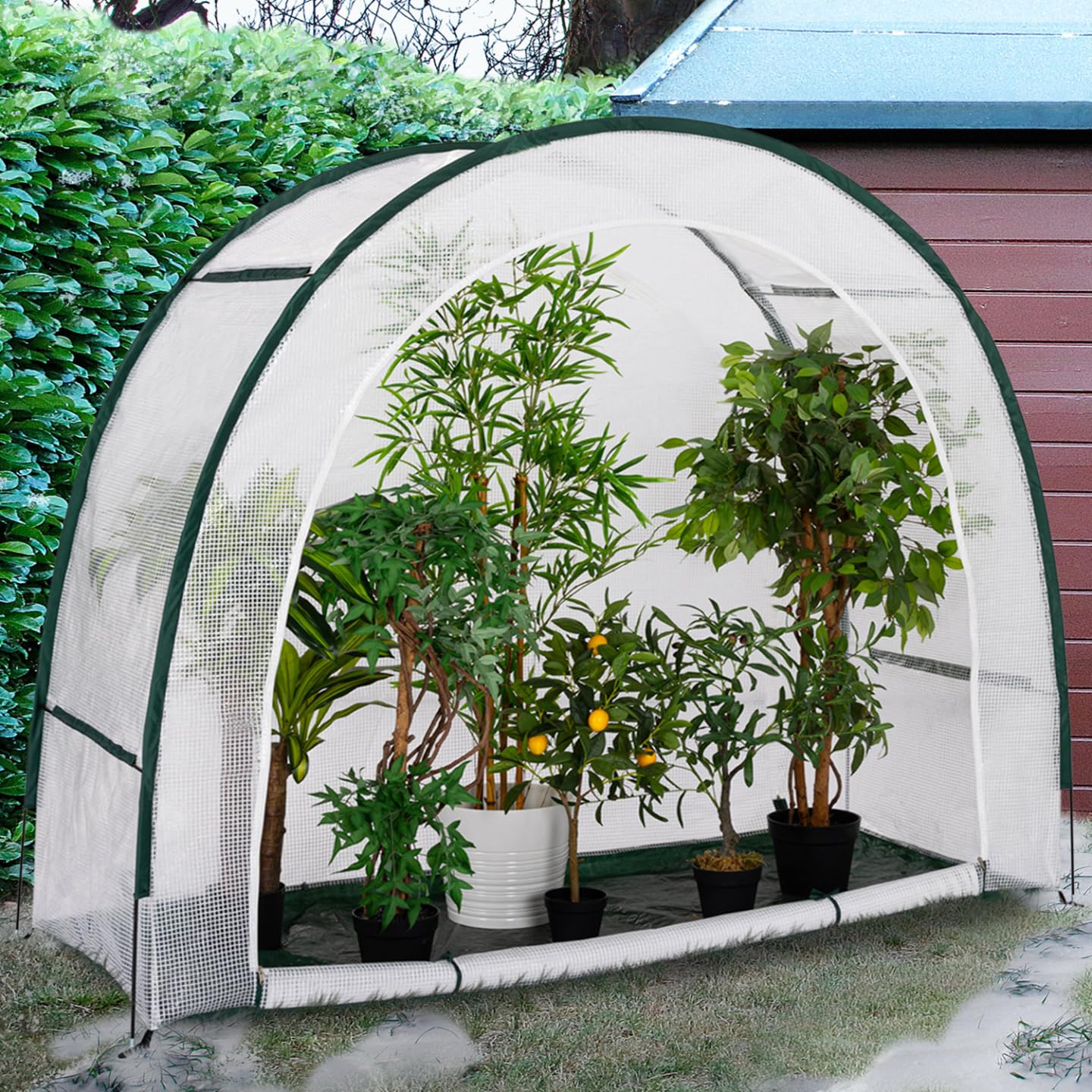 IDMarket - Wintergewächshaus Halbmond 200 x 80 x 170 cm Balkon und Terrasse