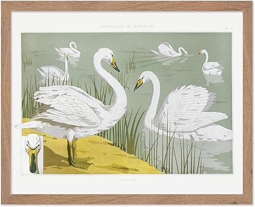 Miniatura 275 de Poster Master Póster vintage de flamenco americano, estampado retro de flamenco rosa, arte de pájaro, regalo para él, ella, amante de los animales,