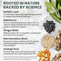 Vista 3 de 5-in-1 Mullein Drops for Bronchial and Respiratory Support with Mullen Leaf Extract Lung Supplement - Mullein Tincture with Elderberry and Ginger