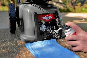 Briggs & Stratton Pressure Washer Pump Saver - 4 Oz. 6039