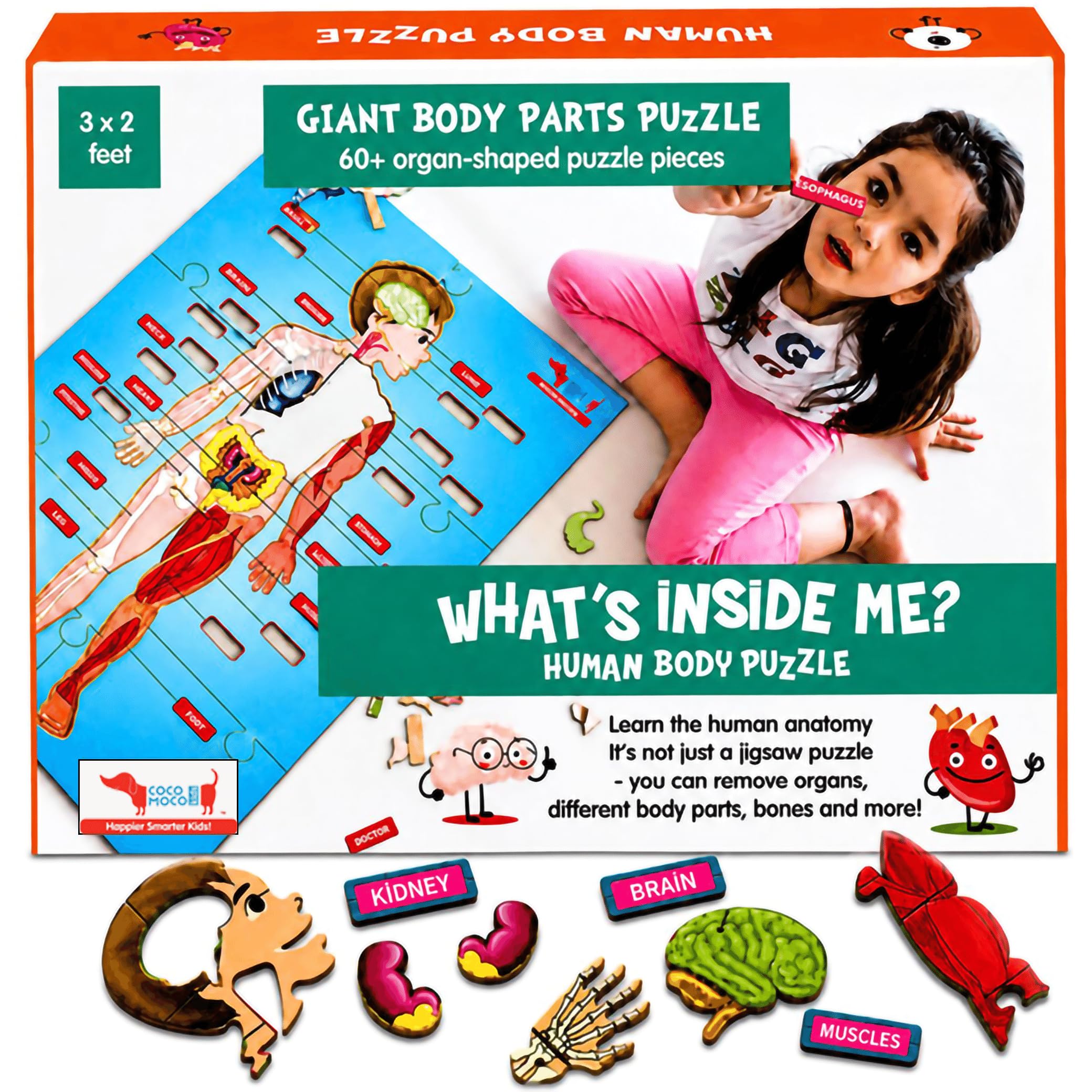 CocoMoco Kids Human Body Parts Puzzle For Kids - Giant Shape Cut Wooden Jigsaw Puzzle - 60+ Pieces - Stem Educational Toys Birthday Gift For Kids 4 To 10 Years-image-42