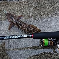 Amazon | ダイワ(DAIWA) ロックフィッシュロッド HRF KJ 86MHB