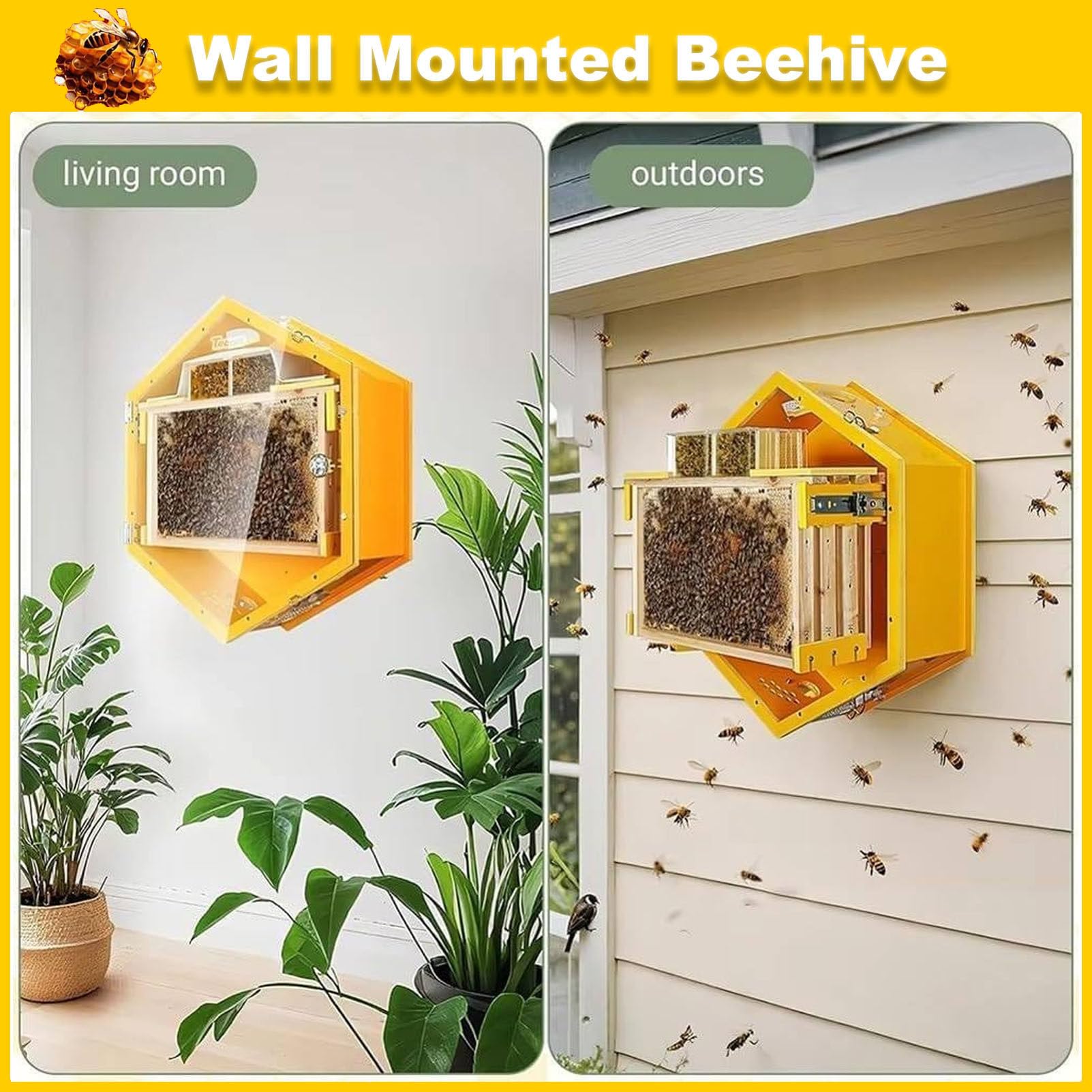 Caja para Colmena con Ventanas de observación, Kit Completo para Principiantes, para cría de Abejas en Interiores, fácil observación, con 3 Marcos y Caja de Miel de 6 panales.