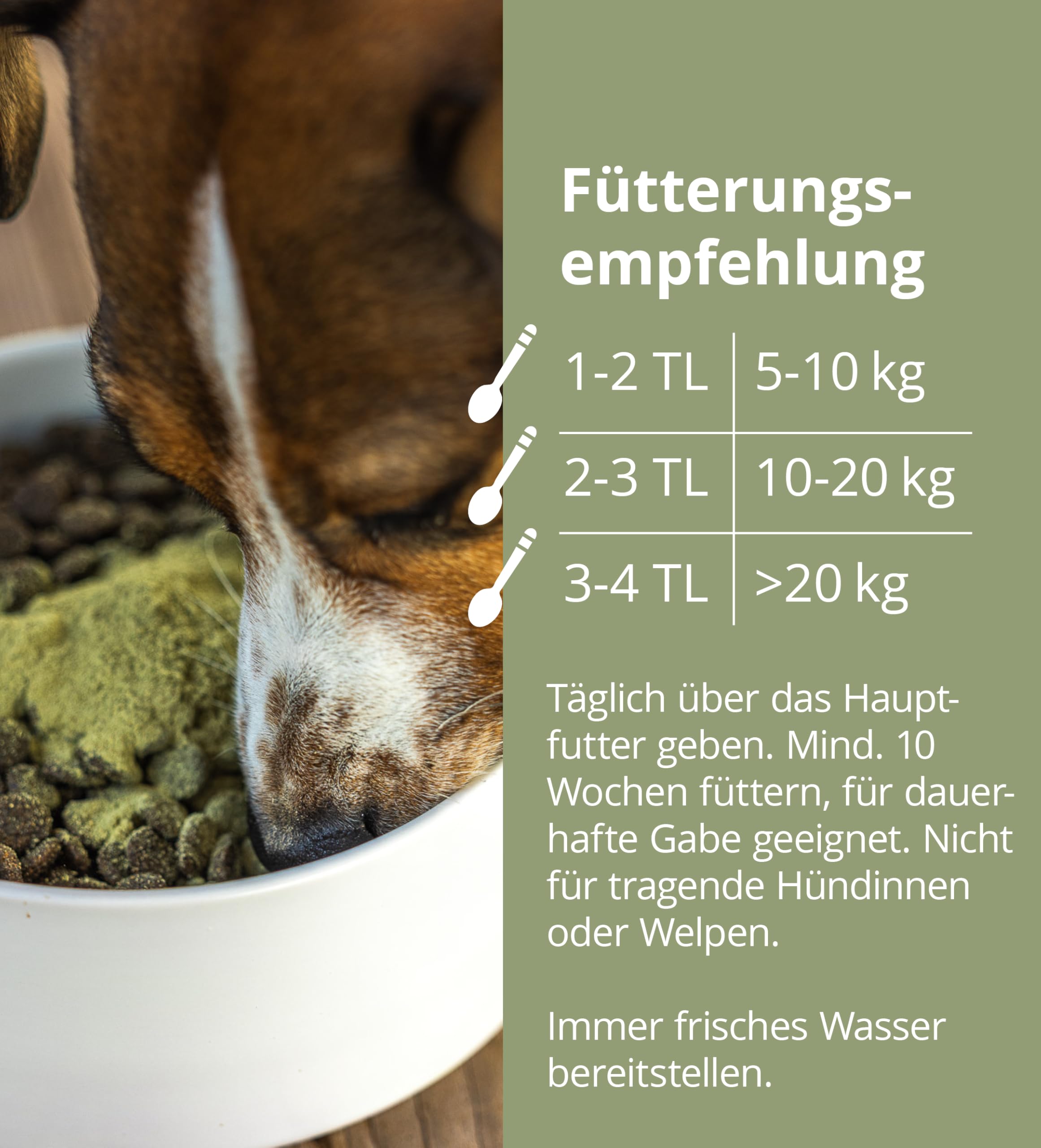 Höveler Dog DARM Plus 150 g – Ergänzungsfuttermittel für Hunde – mit Probiotika und Präbiotika – Unterstützung des Verdauungstraktes