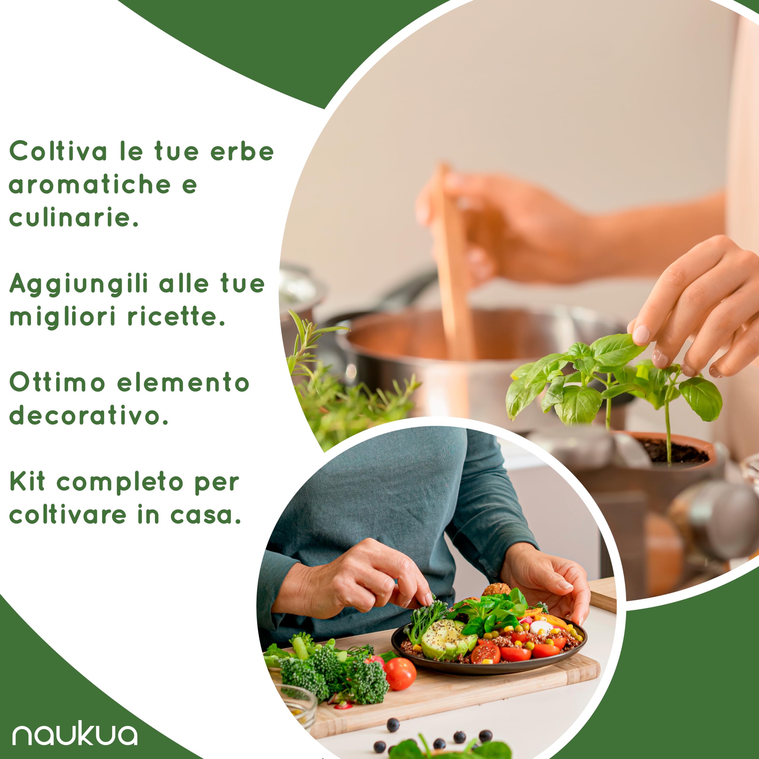 Orto da interno idroponica – Pronto a spingere Smart Garden con luce LED - Kit Serra Idroponica da casa - Timer automatico e pompa dell'acqua: capacità per 10 germogli simultanei - Serra Smart