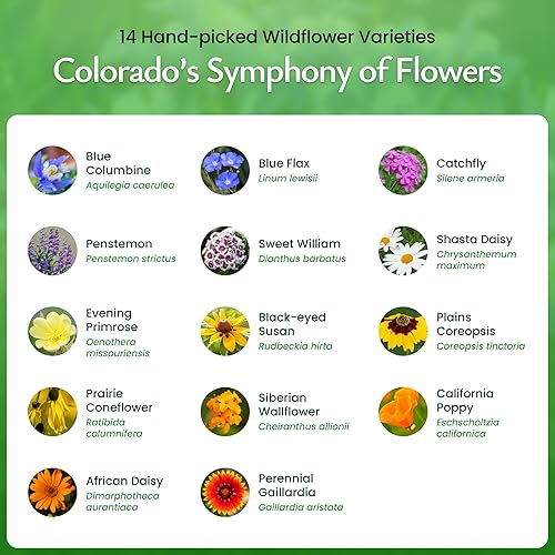 Miniatura 3 de Created By Nature Mezcla de semillas de flores silvestres de Colorado, 14 variedades de flores, más de 53,000 semillas