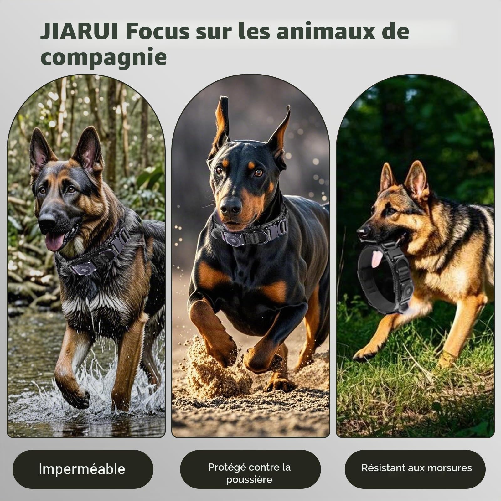 AirTag Tactical Dog Collar JIARUI Collier Tactique pour Chien avec Poignée, Collier Étanche Airtag pour Chien, Collier Épais Réglable (Noir, M(15"-19"))