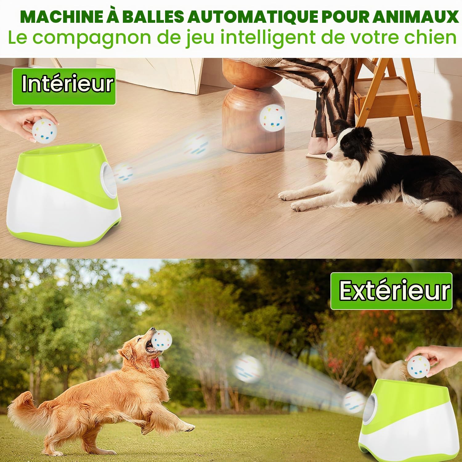 Lanceur de balles pour chien, Lanceur automatique de balles pour chien avec 3 distances de lancer de 6-14 m, Jouet interactif pour petits chiens à l'intérieur et à l'extérieur avec 3 mini