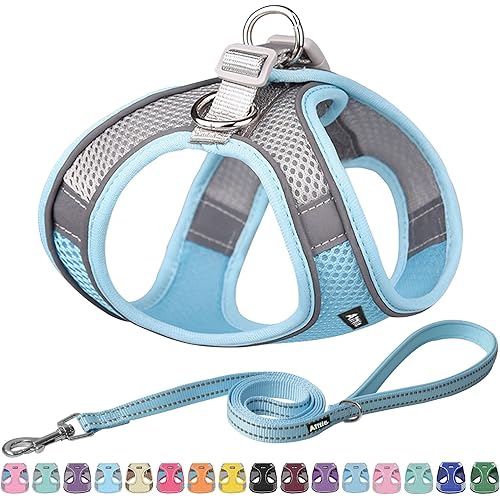 AIITLE Comfortable Dog Harness and Leash Set for Walking - Step in Vest Harness,Reflective Bands, Adjustable No Pull Puppy Essentials, for Small Dogs and House Cats Blue XS