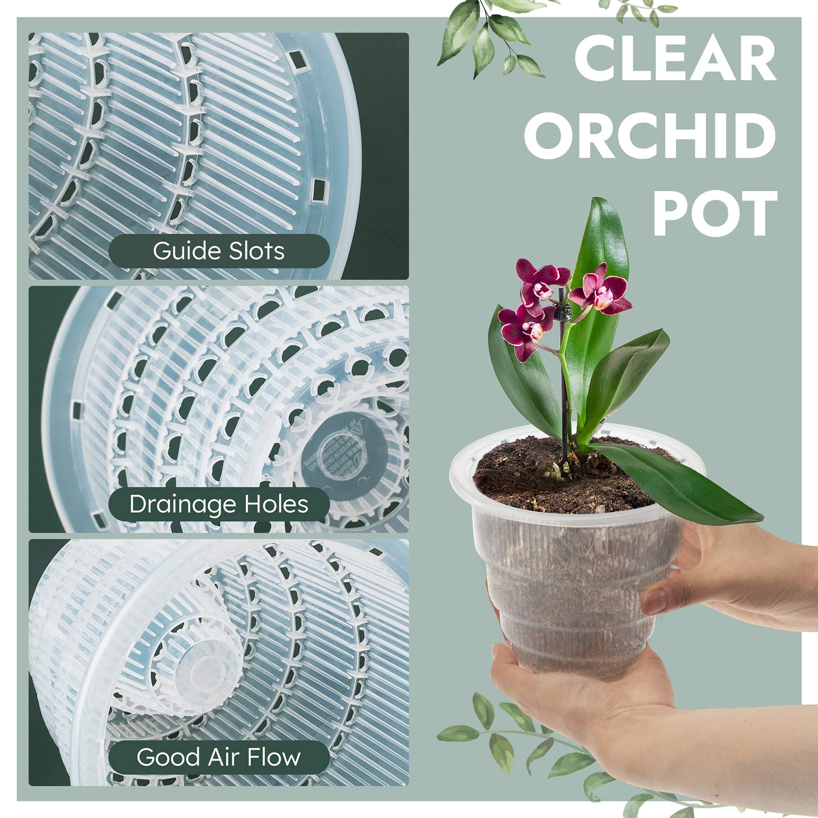 Amazon.co.jp: LAHONI 3ピース クリアランポット 穴付き 4.7インチ