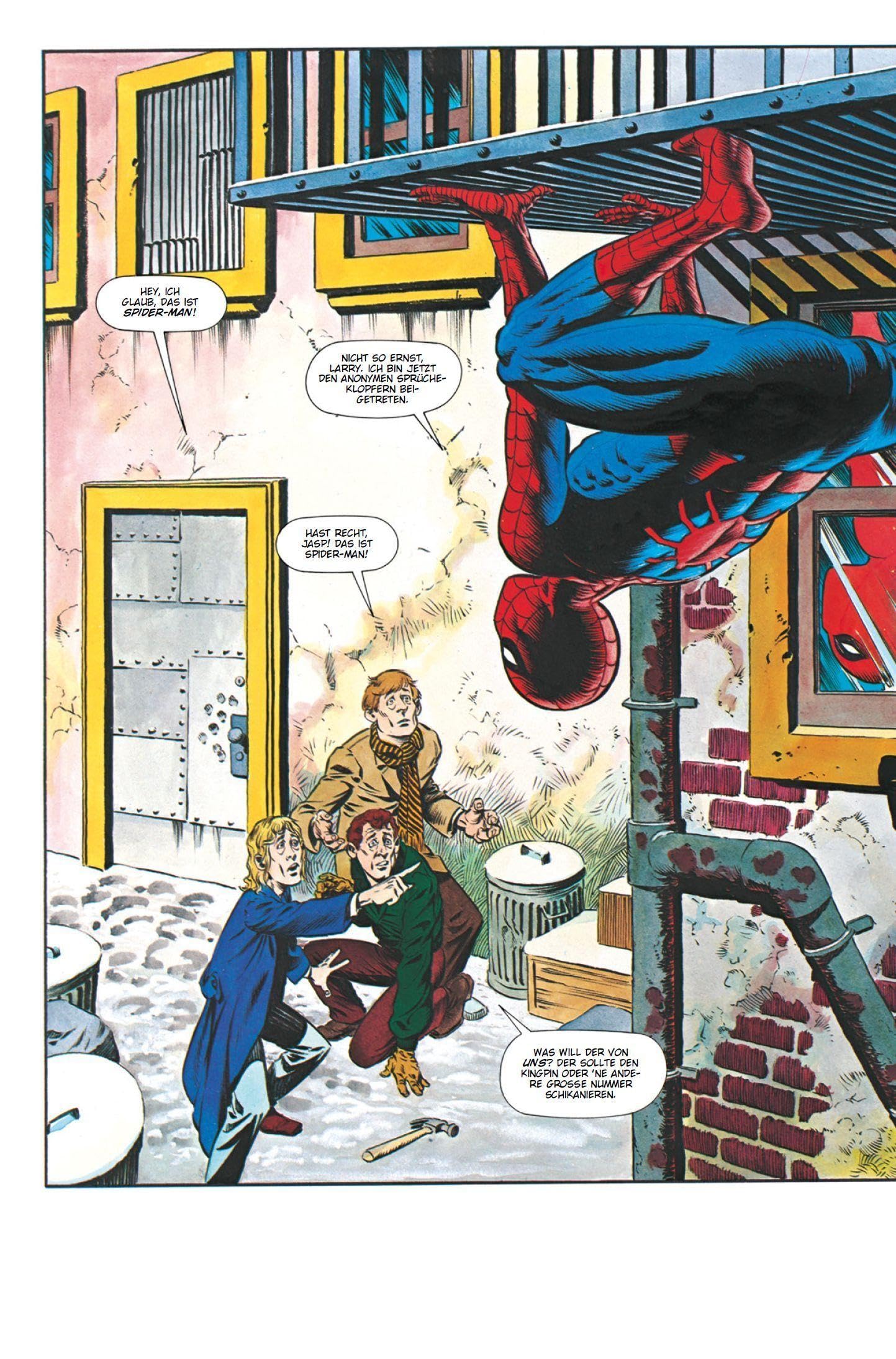 Spider-Man: Die Graphic Novel Collection
