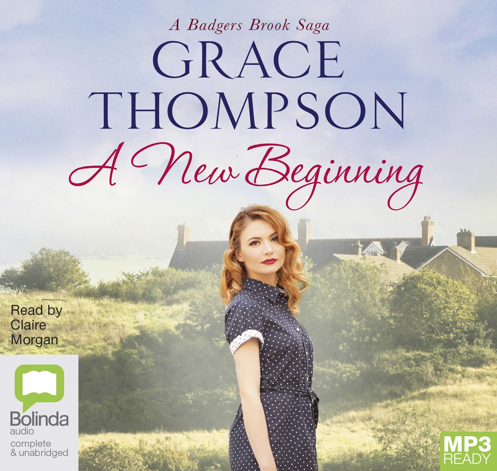 A New Beginning (Badgers Brook, Band 3)