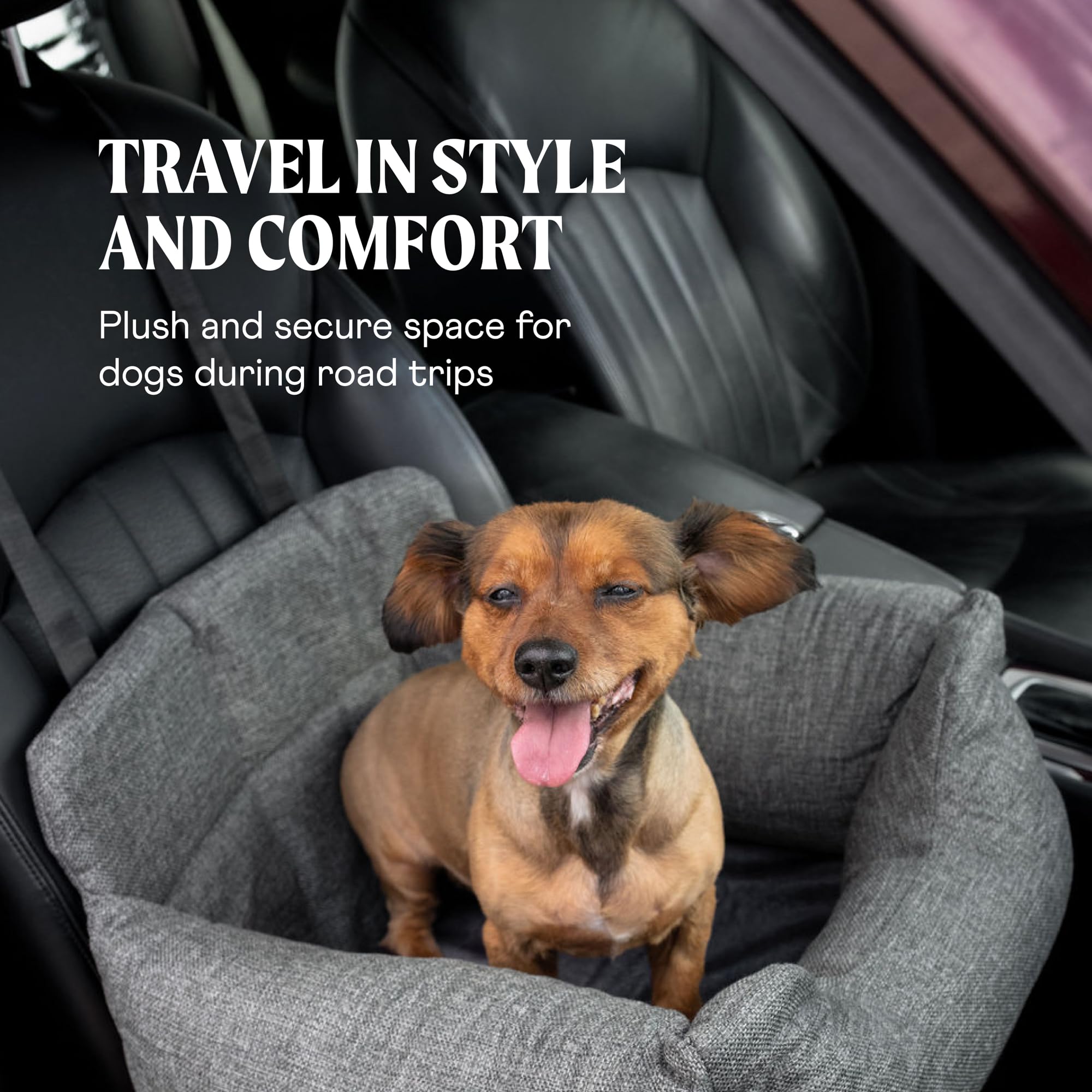 Paw Brands Asiento doble de coche para perro, cama de viaje de espuma viscoelástica para asiento trasero