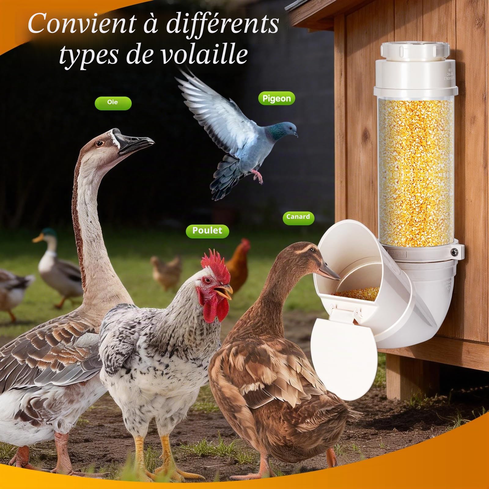 Mangeoire Poules,Hangable Mangeoire Poules Anti Nuisible 4L, PVC Mangeoire Poule Automatique avec sans Gaspillage, Mangeoire Automatique Poule pour Poulet,Canard,Turquie,Oie,Caille,Pigeon