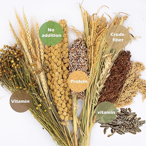 Miniatura 3 de Almohada Natural de Espiga y Hierbas para Hámsteres, Jerbos y Lemmings, con Decoración Divertida