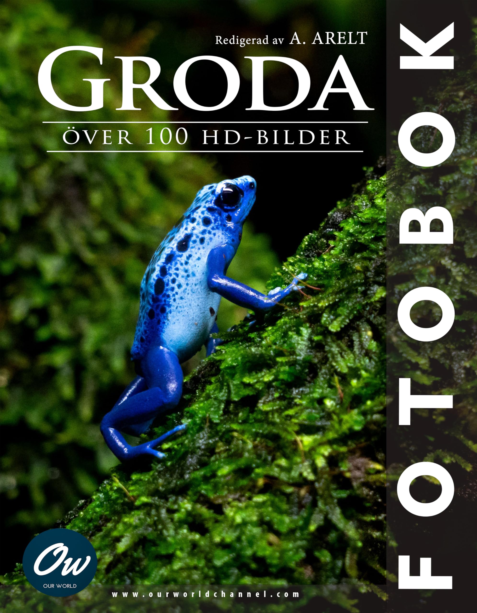 Livre de grenouilles Groda pour décorer votre salon et voyager