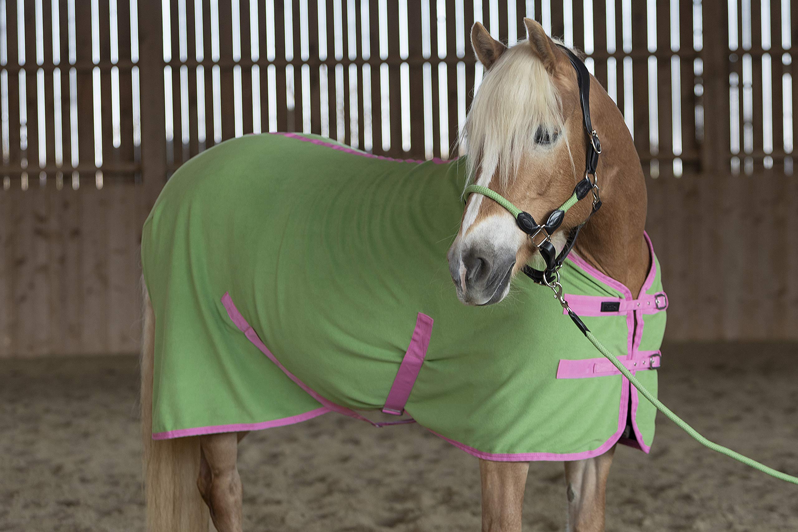 Abschwitzdecke_indira_pro_350g (155 cm, Violett 01 - Pink 01)