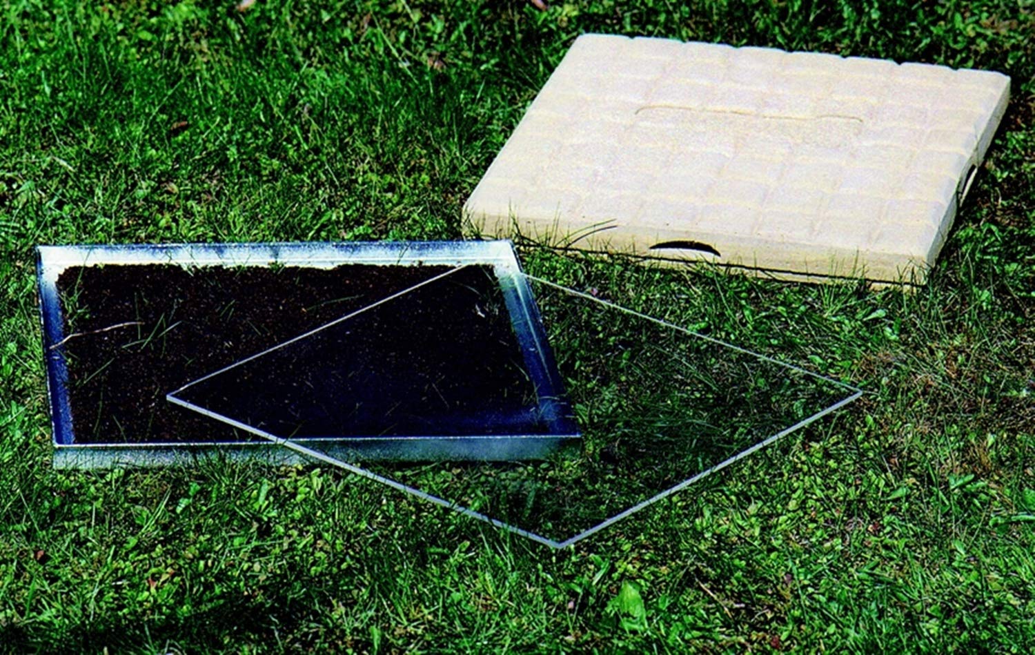Naturschutzprodukt Ameisen-Beobachtungsstein Ameisen Nisthilfe Insektenhotel aus Holz-Sandsteinbeton Höhe 5 cm für Verschiedene Nützlinge patentiert