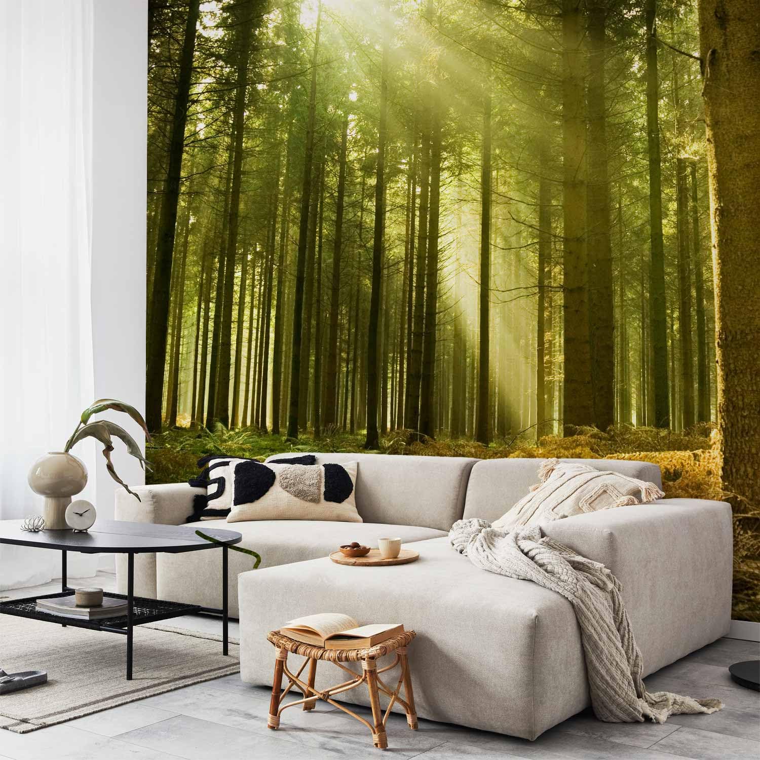 Notte Di Bosco Blu Nero - Carta Da Parati In Tessuto Non Tessuto Con Motivo Di Gufi Per Il Soggiorno E La Camera Da Letto - Foto 9