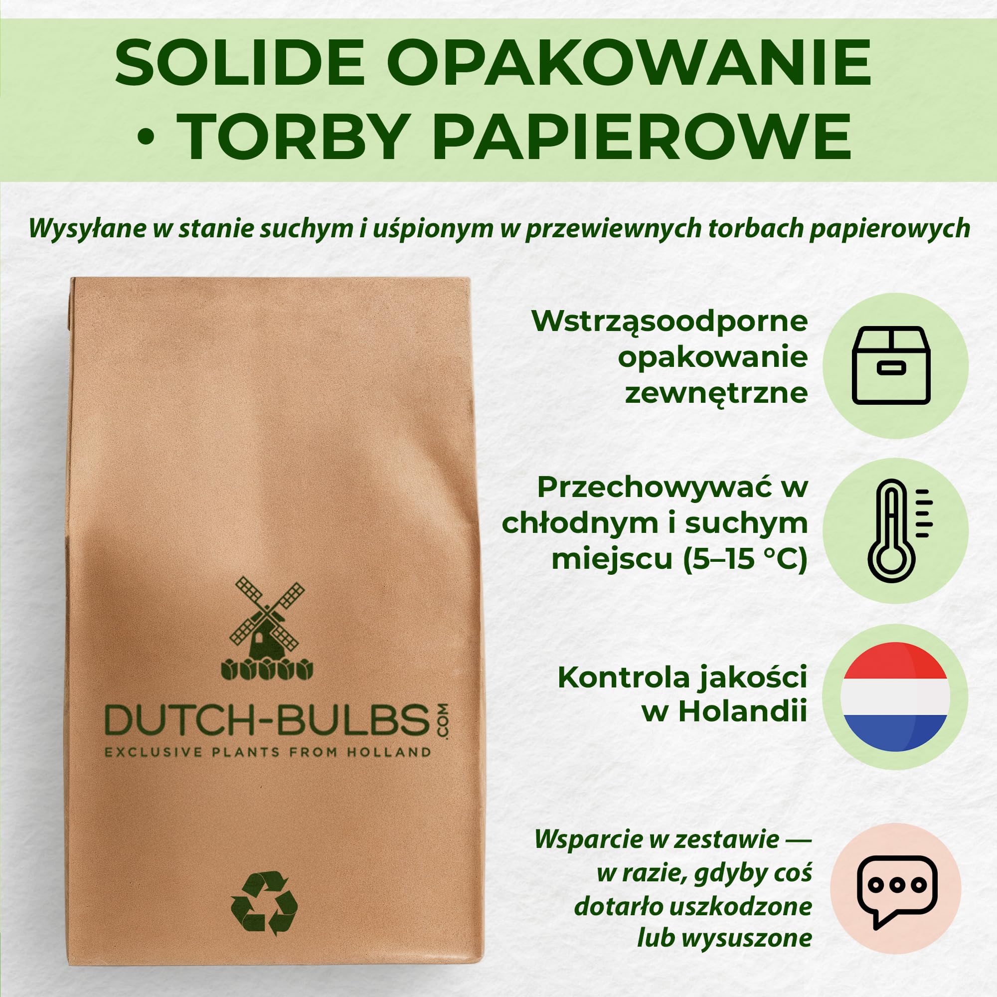Budżetowa kolekcja cebul lilii, co najmniej 10 odmian, mieszanka cebul wieloletnich i wytrzymałych, mieszanka z Holandii do ogrodu i doniczek