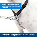 Ver la foto 2