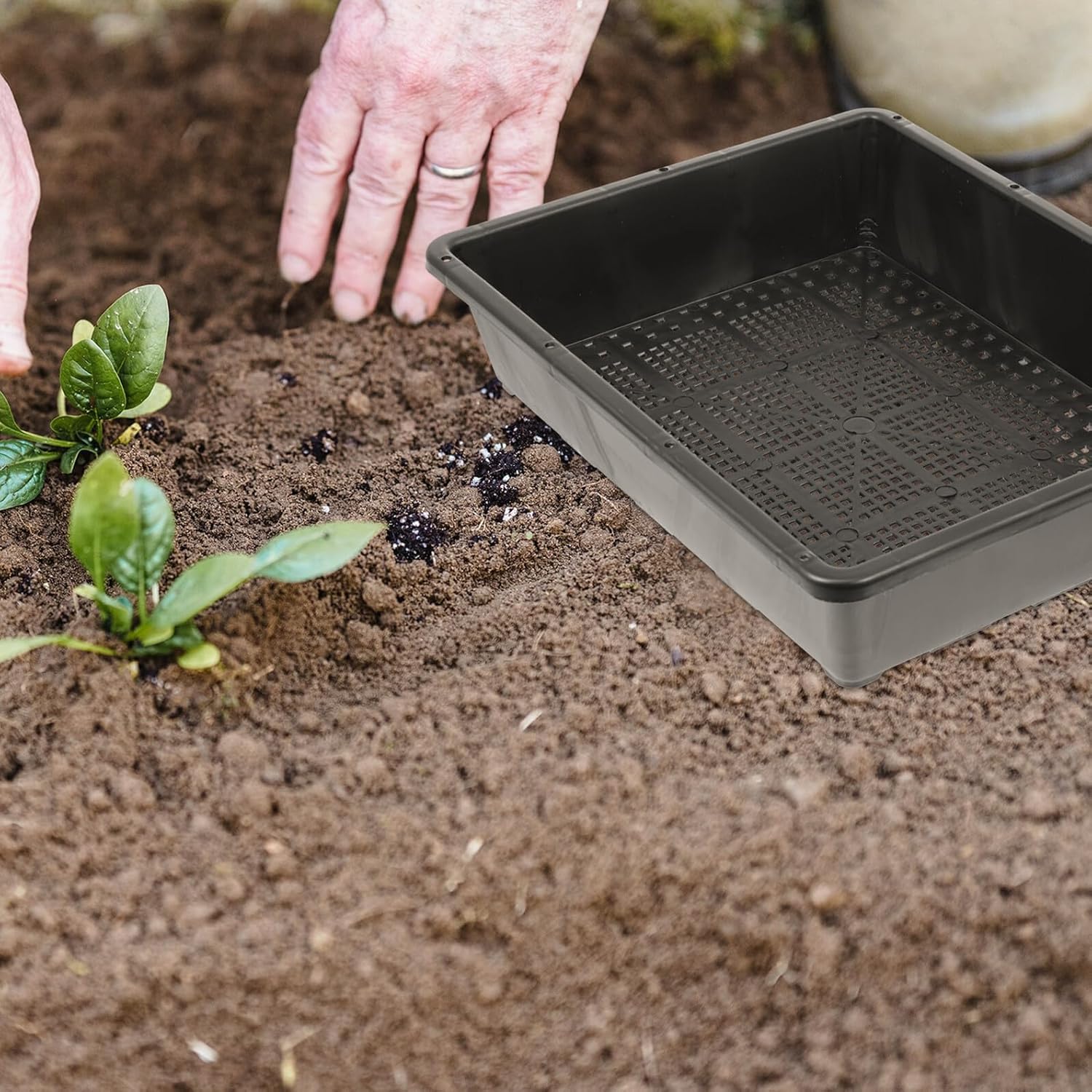 5 Sets Plastic Plant Germination Trays High and Low Lids 35x27.5x7.5cm Seed Starting Nursery Boxes for Home Gardening and Greenhouse Use