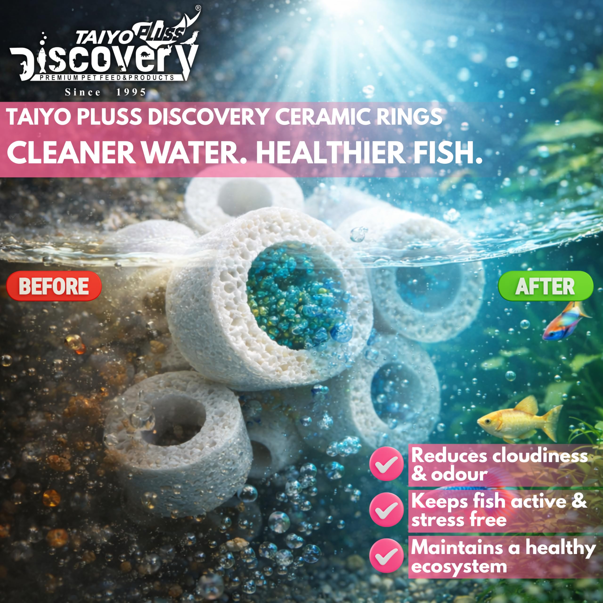 Taiyo Pluss Discovery Filter Media Combo - 500 g Ceramic Rings + 500 g Activated Carbon + 50 pcs Bio Balls + Biochemical Sponge (1 Pc) + Free NET Bags | 4 in 1 Bio Sponge Media for Aquarium Fish Tank 4