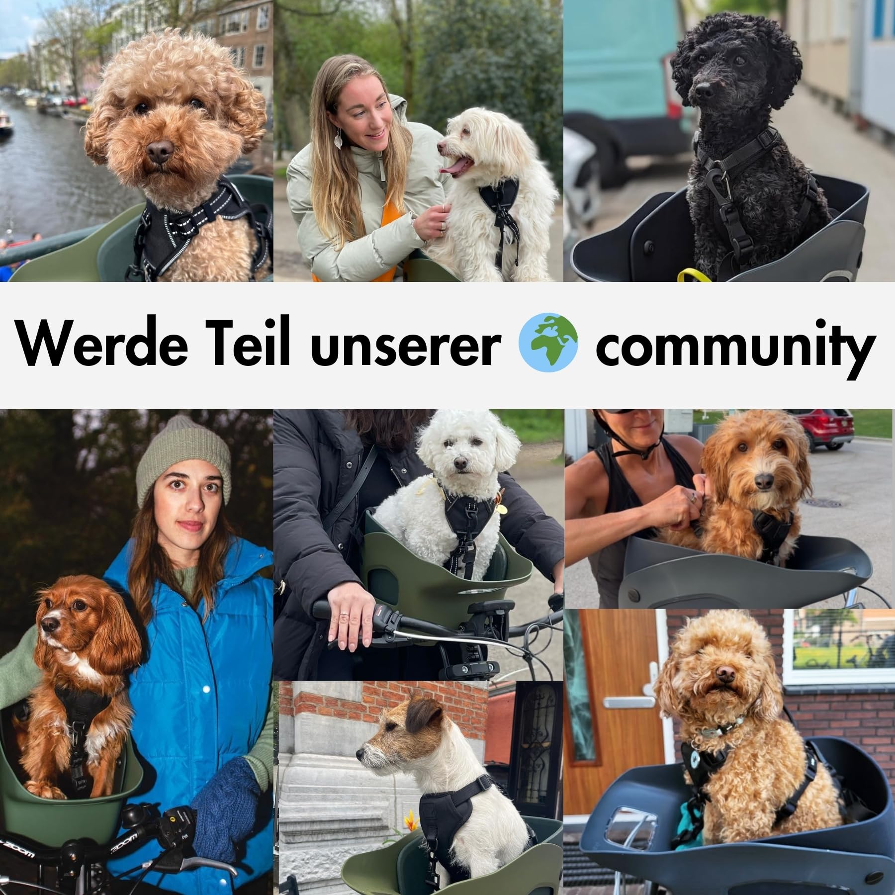 Fahrradkorb Hund Vorne bis 12 kg - Hundekorb Fahrrad E-Bike - Grau M