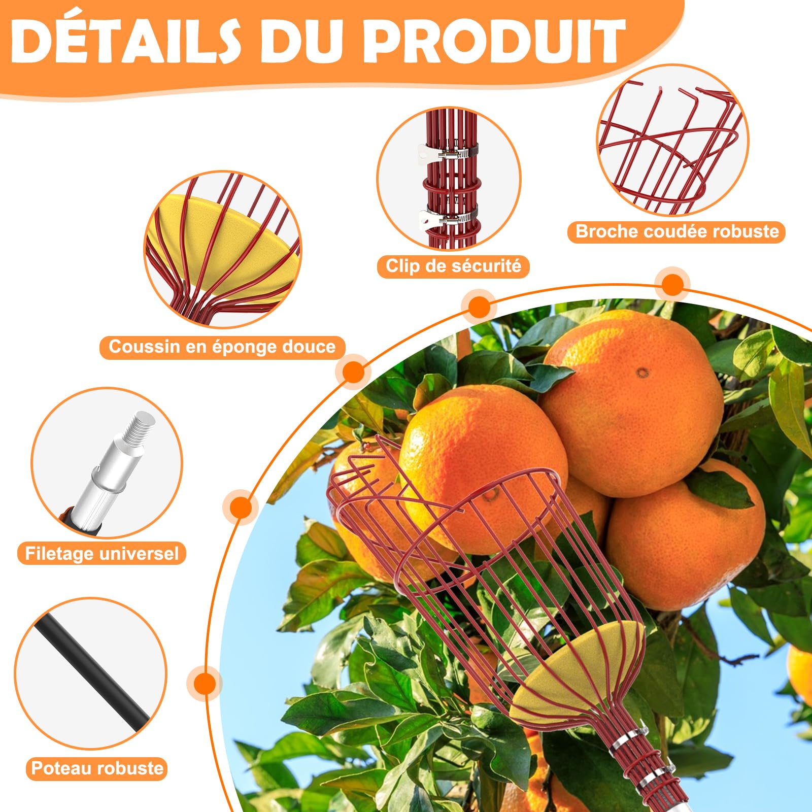 SISUPASSIE Cueille Fruit Télescopique 6m, Cueille Cerise Telescopique avec Grand Panier, Ramasse Cerise pour Pommes, Oranges, Citrons, Mangues, Avocats