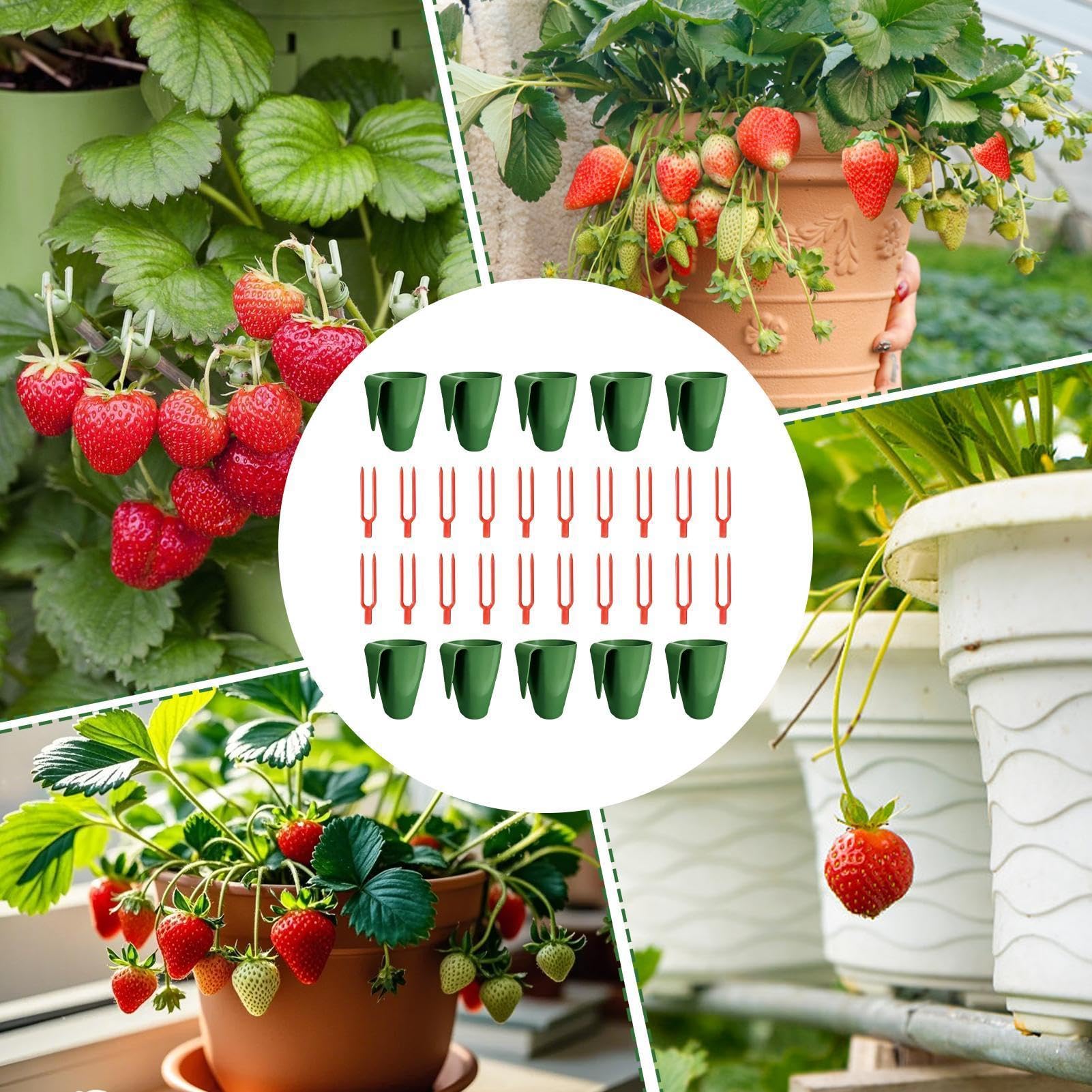 Vasos de propagación de fresas, paquete de 10 con 20 pines, ideales para plantar y cultivar corredores de fresa, duraderos y fáciles de usar para jardineros domésticos