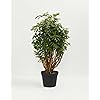 Product Photo 2