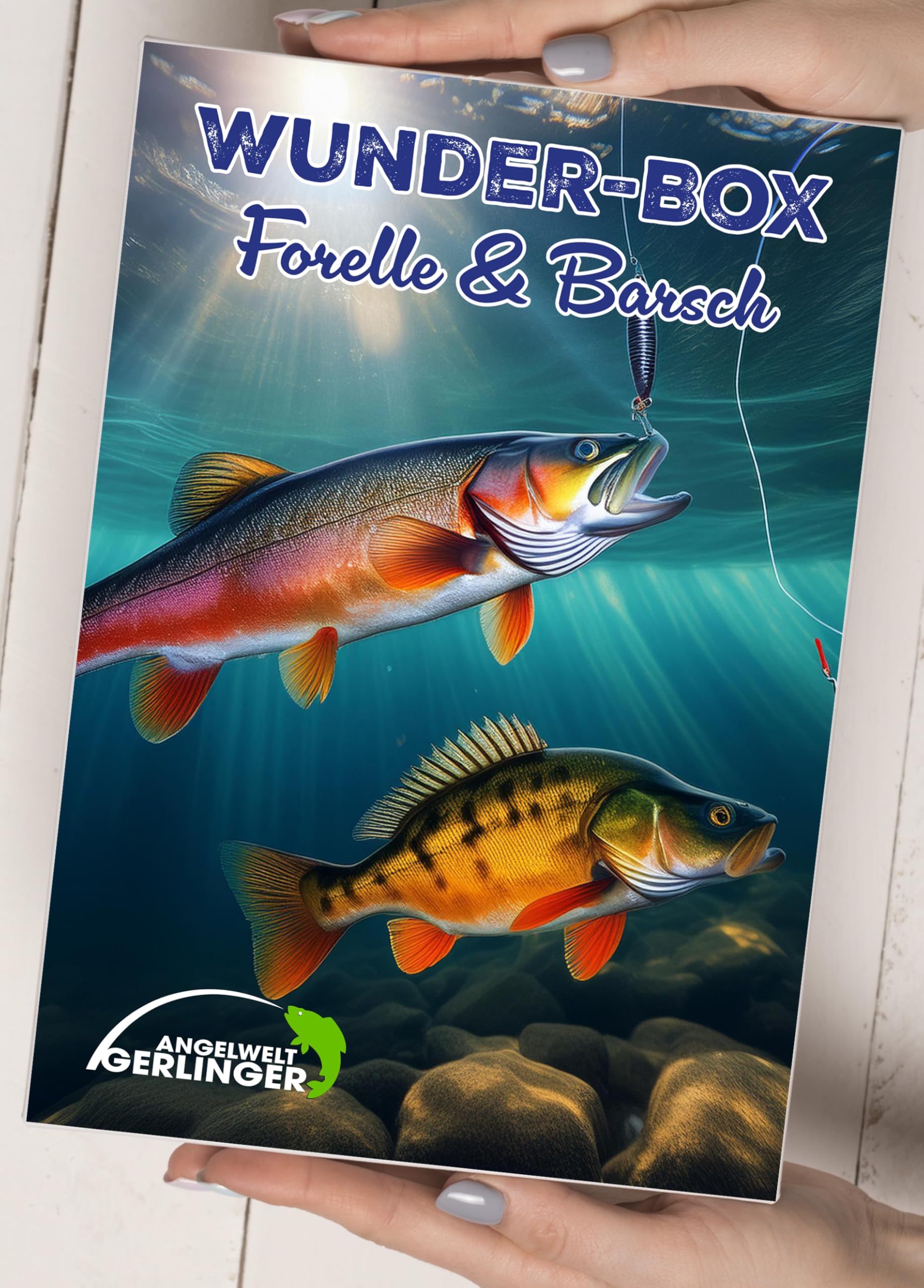 Wunder-Box-Forelle/Barsch, Wundertüte Angeln, Überraschungbox Angeln, Mystery-Box Angelzubehör, Angelset Kleinteile, Geschenk für Angler, Forellenangeln, Barschangeln