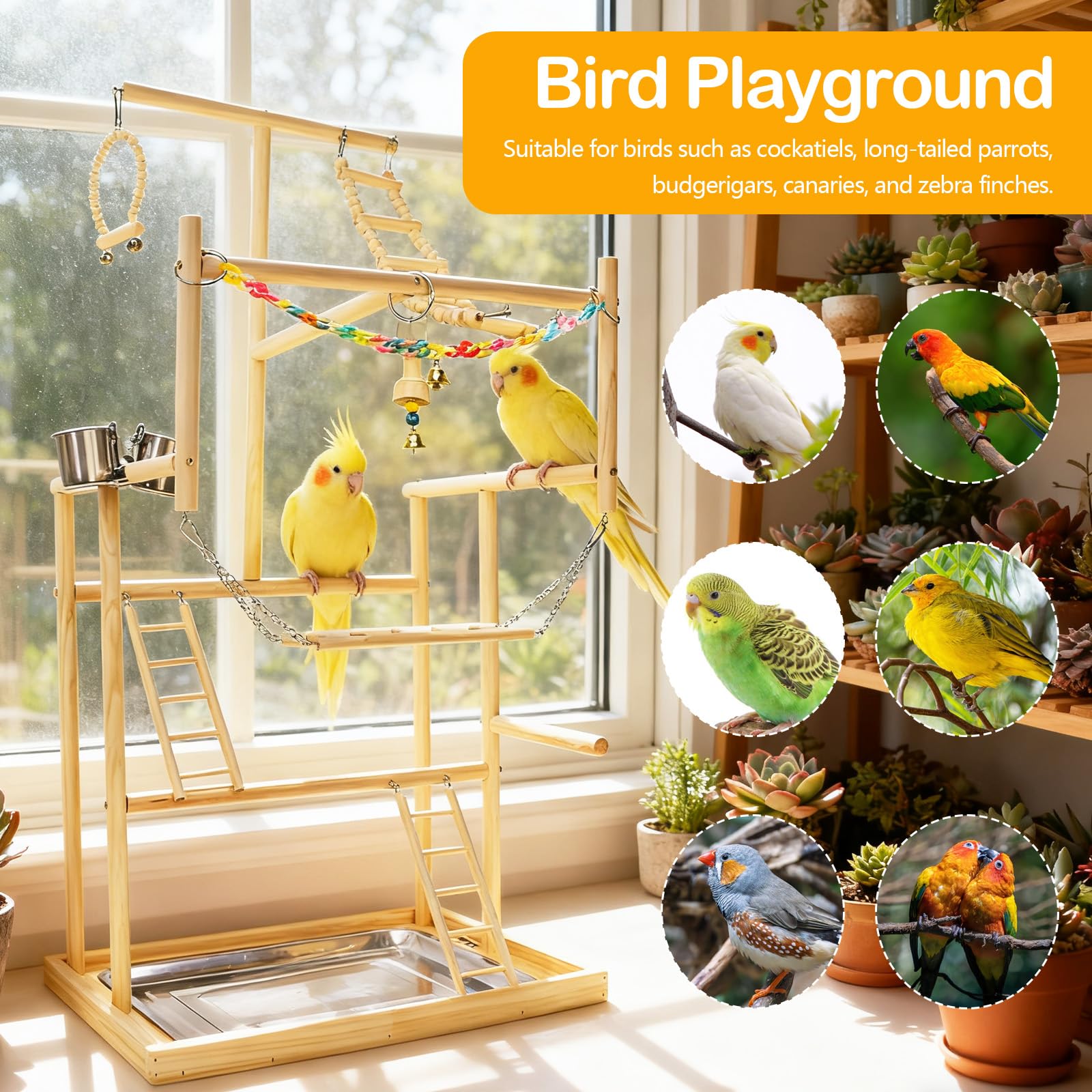 Parco Giochi per Uccelli 48 x 35 x 95 cm Legno a 4 Strati Tazze Acciaio Inossidabile Catena Plastica Colorata Vassoio Metallo Rimovibile