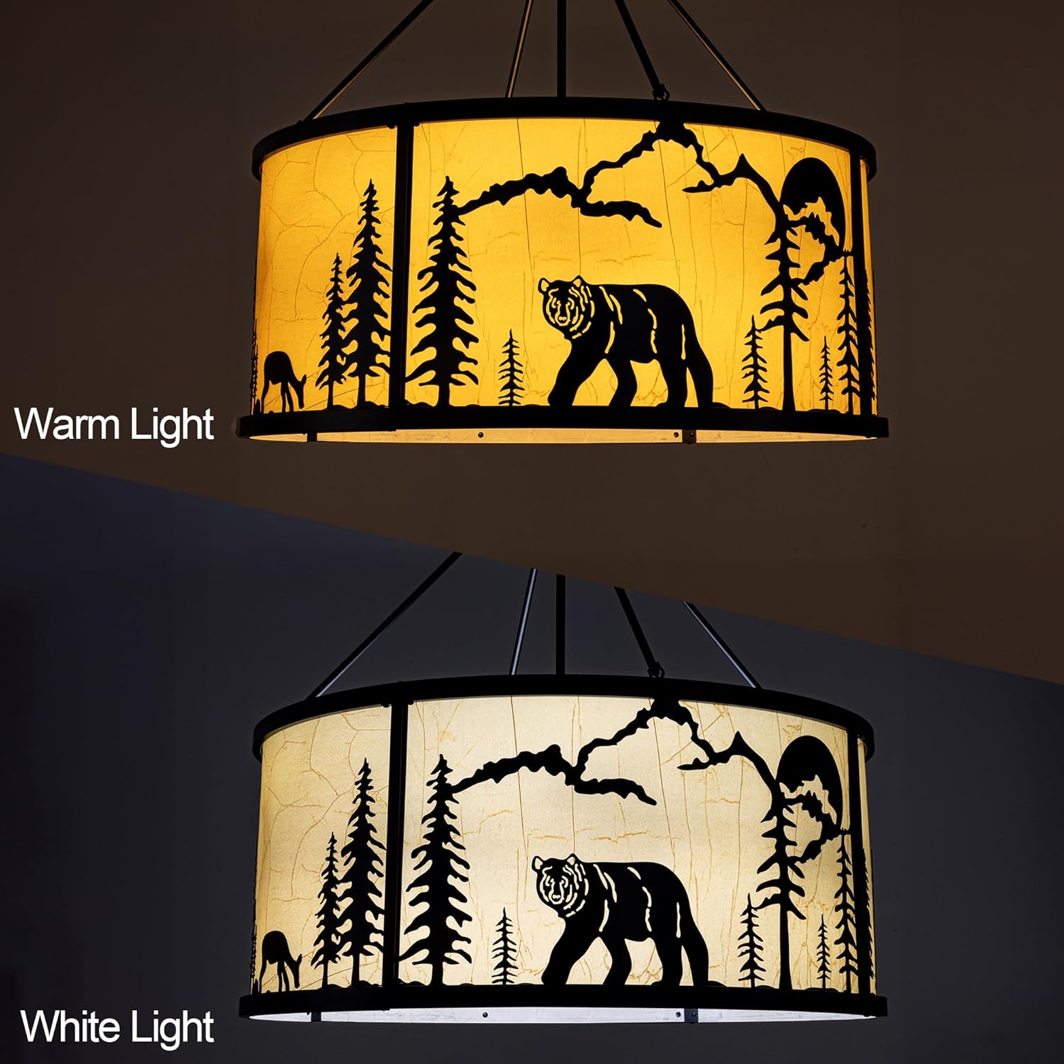 https://m.media-amazon.com/images/I/81Hfk5AV2gL._AC_SL1500_.jpg
