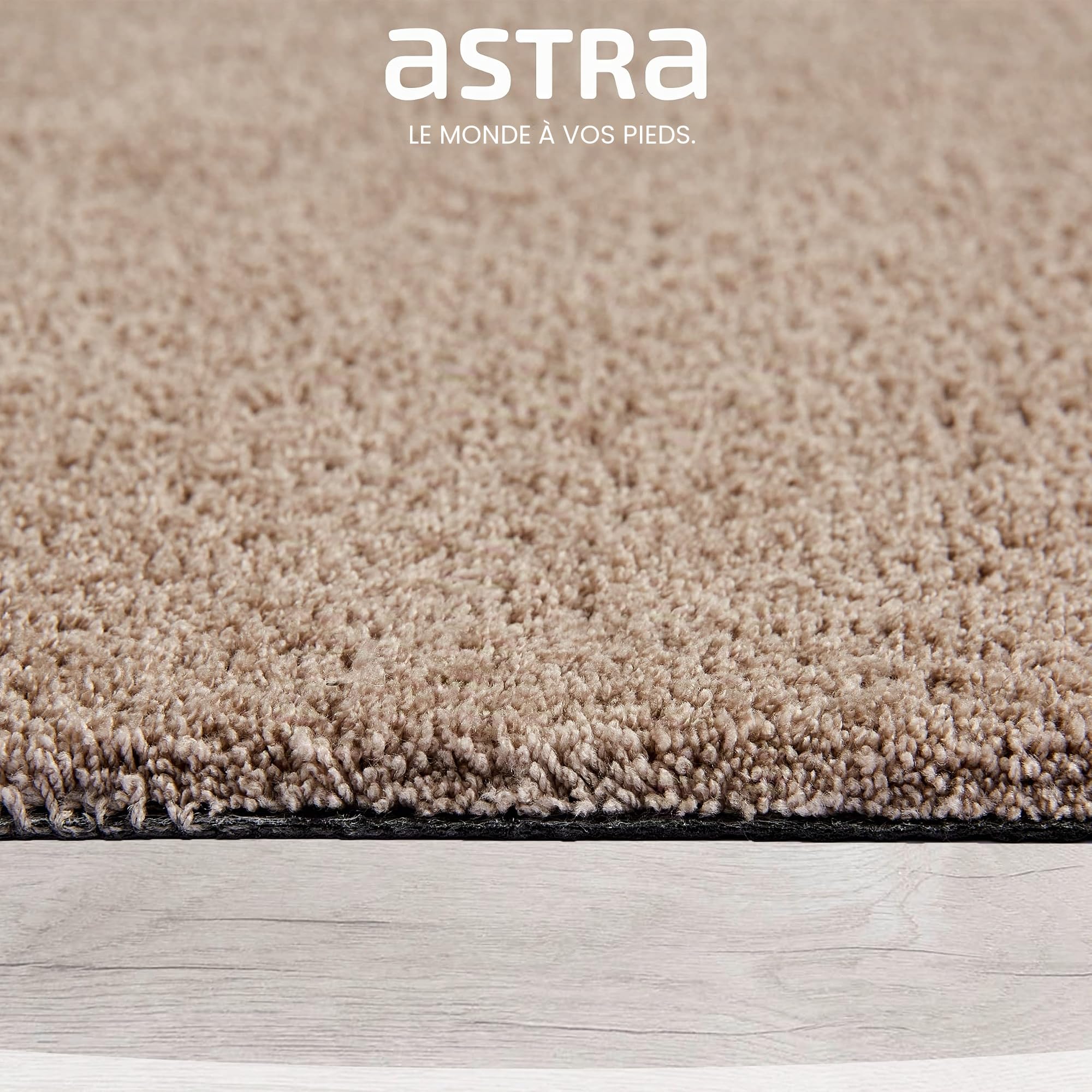 Astra Paillasson intérieur antidérapant - Tapis de propreté Facile d'entretien - Paillasson Lavable - Tapis de Porte très Absorbant Taupe 60x100 cm