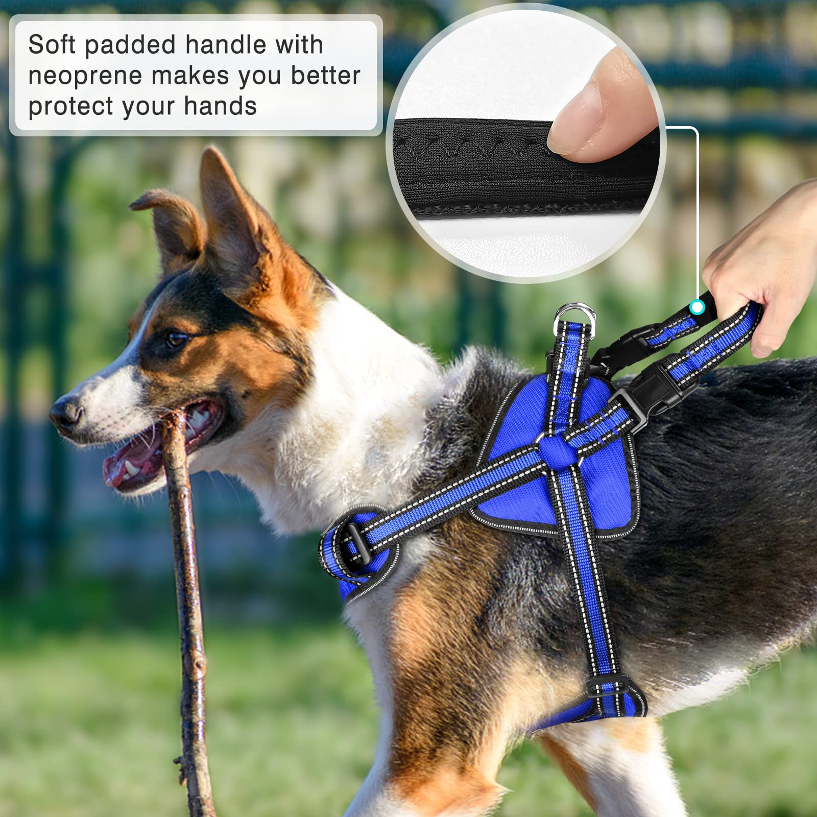 WINSEE No-Pull Hundegeschirr Mit Service-Weste & 7 Patches – Reflektierend & Sicher