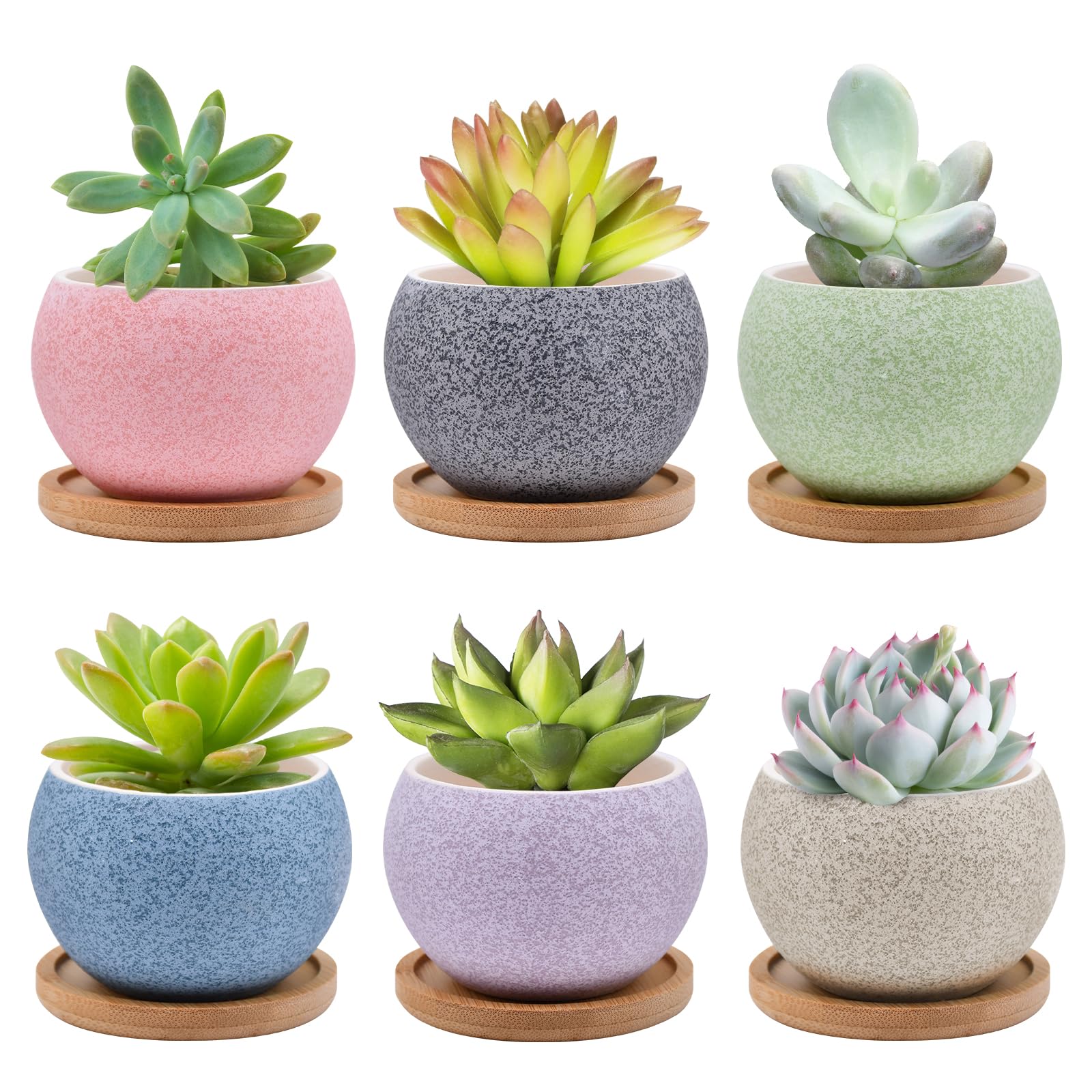 6 Pack Ceramic Speckled Round