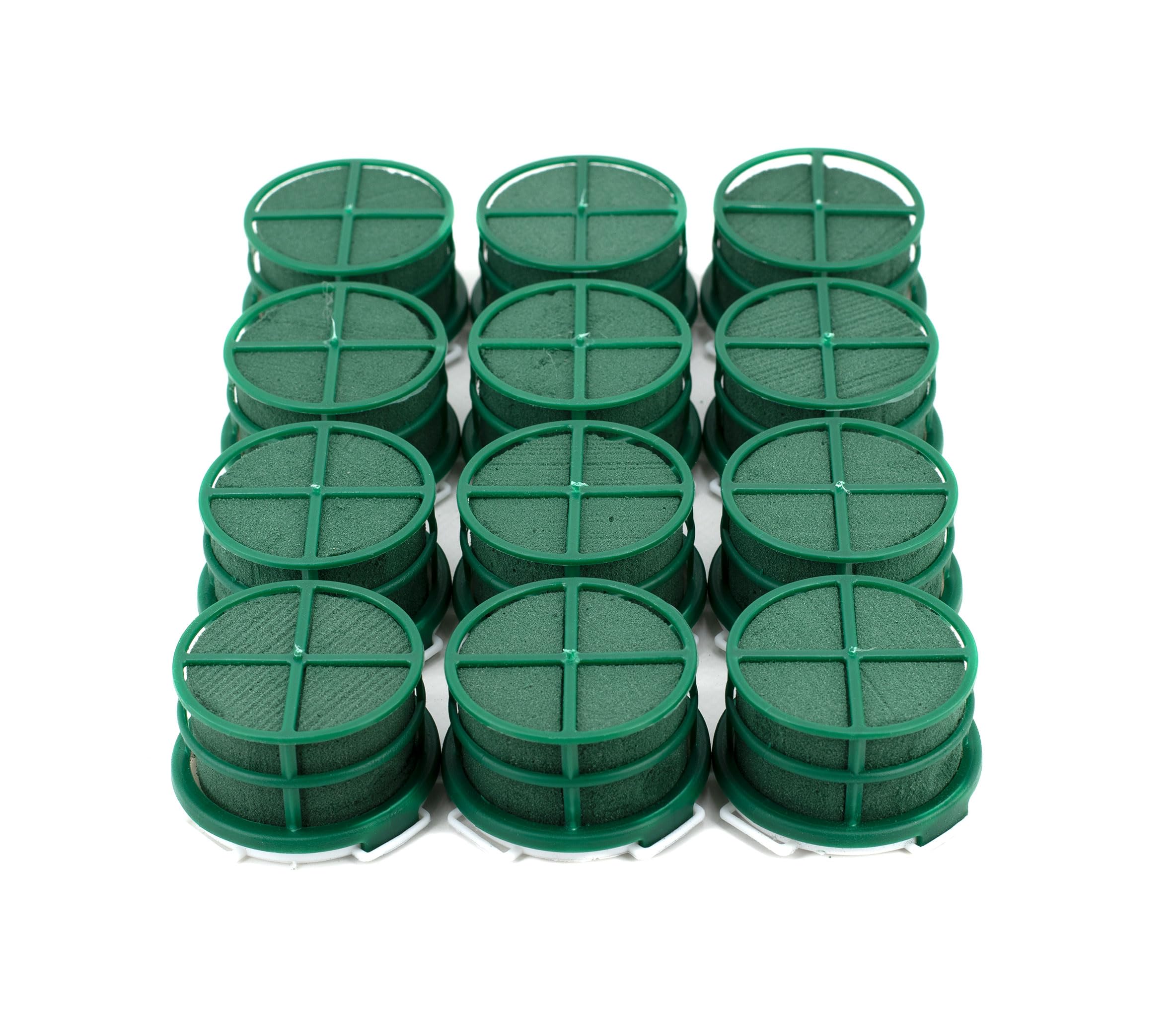 Schiuma bagnata, rotonda, 5 x 4 cm, autoadesiva, con griglia, 12 pezzi – per fioristi e hobbisti – Spugna per fiori freschi – Pasta per fiori – Accessori floreali & forniture floreali verde