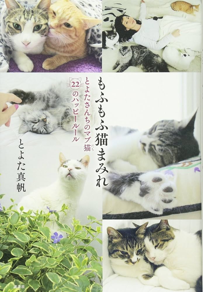 もふもふ猫まみれ とよたさんちのマブ猫 22のハッピールール