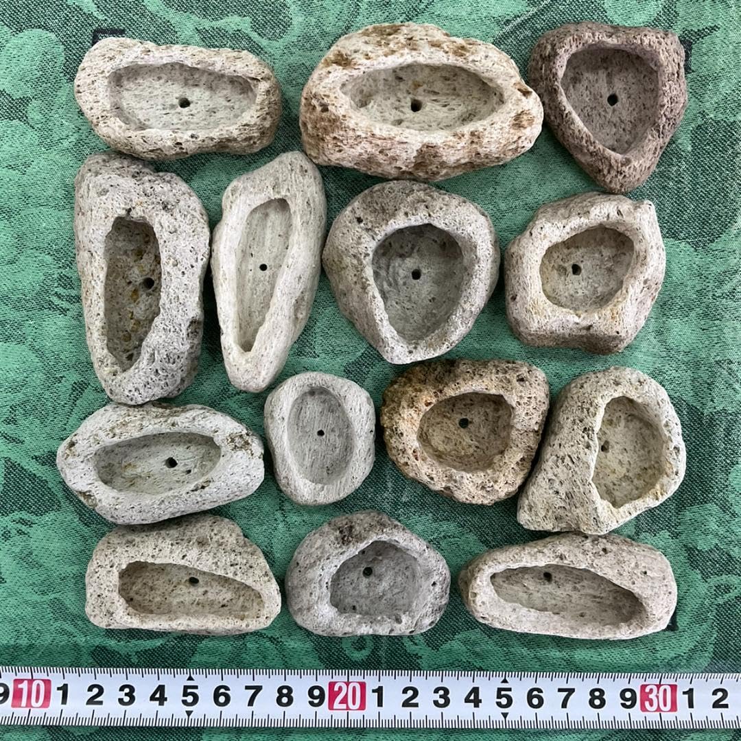 ウミノモリ軽石鉢 ウミノモリ様専用軽石鉢