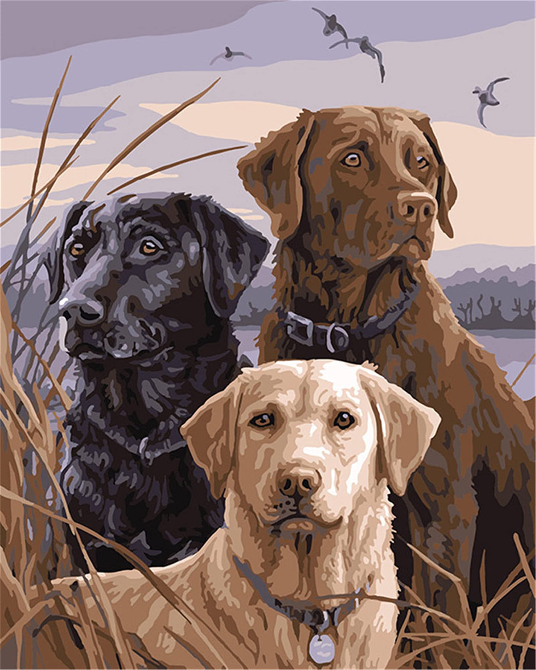 CaptainCrafts Paint by Number DIY Oil Painting Paint by Numbers Kits for Adults Beginner Canvas Acrylic Arts Craft for Home Wall Decor Drawing 16x20 Inch (with Frame, African Lion Dogs Three Dogs)