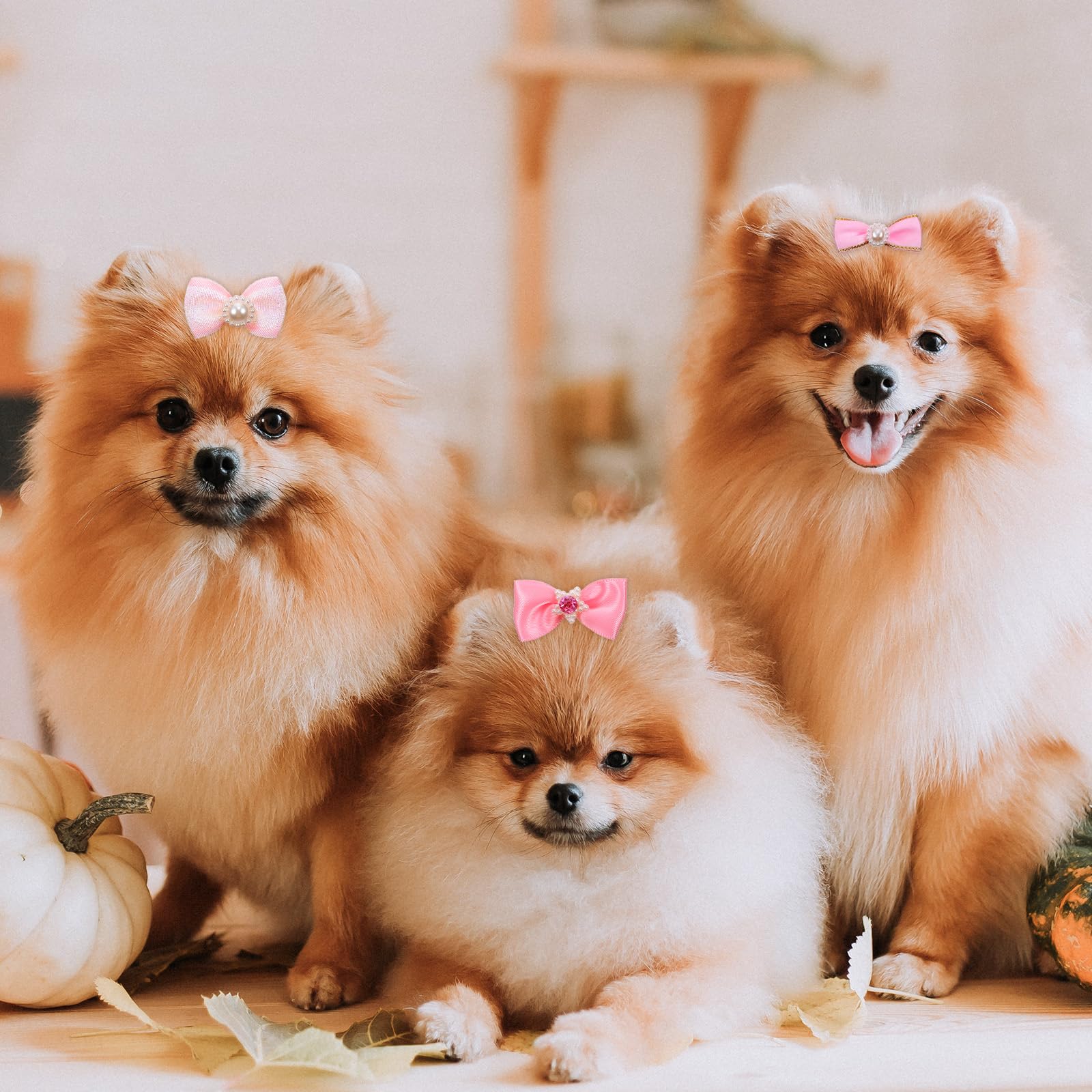 Fiocchi per cani piccoli e carini con elastici in pizzo strass perle accessori capelli idea regalo (rosa)