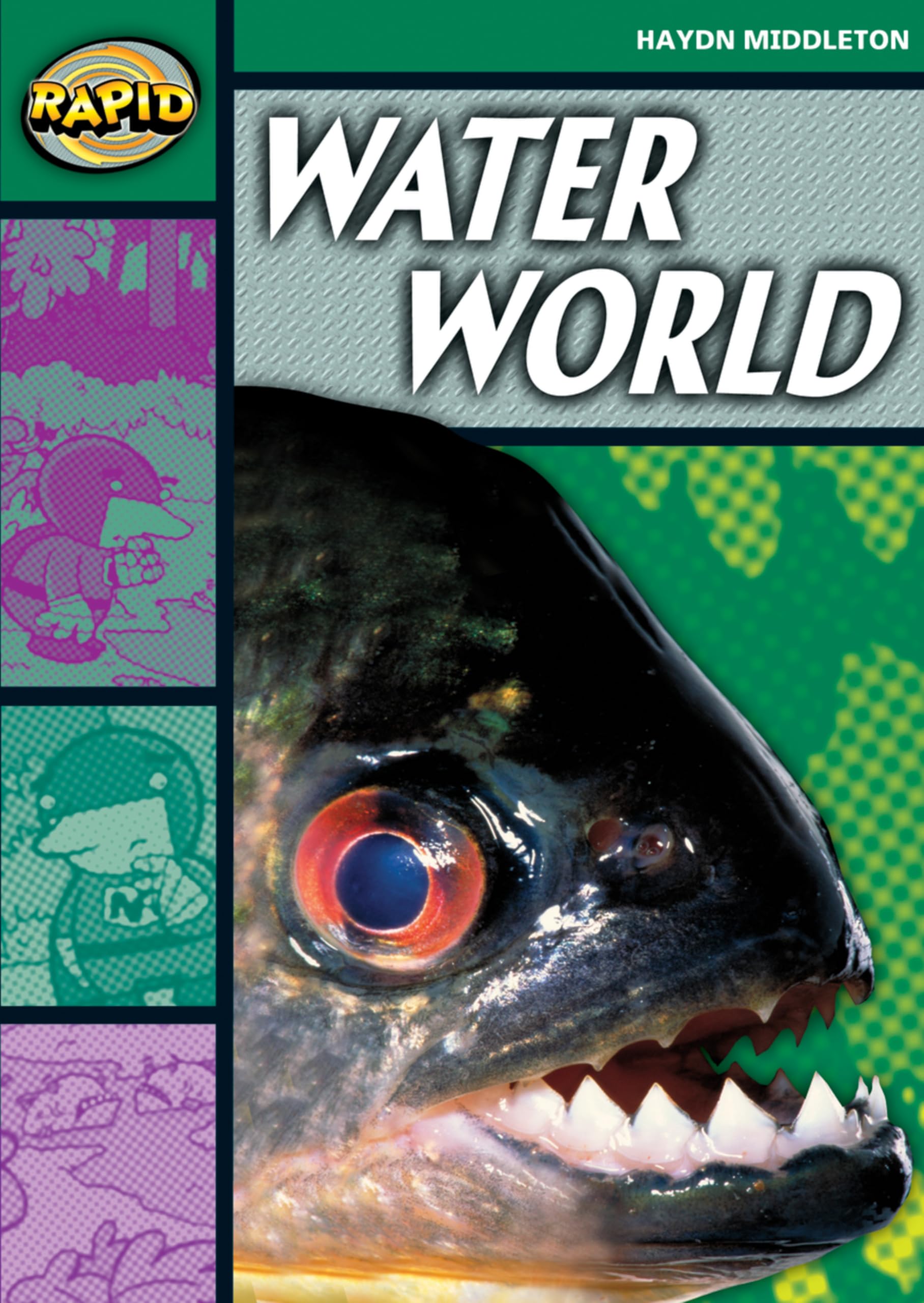 Haydn Middleton Water World Stage 5 Level 5B Book